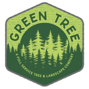 About Green Tree – Green Tree